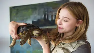 Zasłona do filmu "Życie nie gryzie" #302011