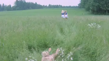 Zasłona do filmu "Szwedki w akademiku" #434054