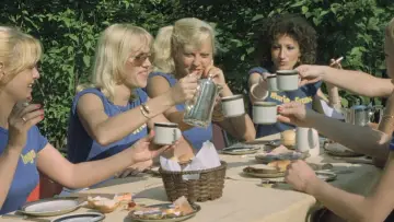 Zasłona do filmu "Szwedki w akademiku" #434057