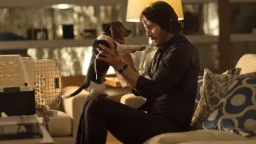 Zasłona do filmu "John Wick" #216540