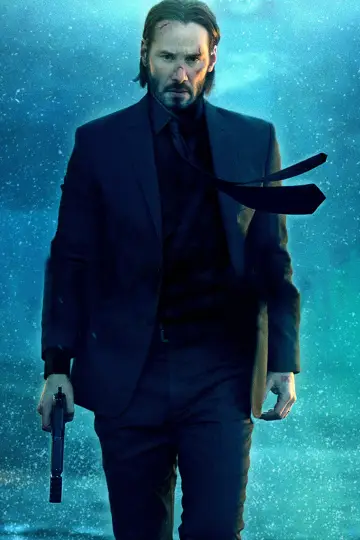 Plakat do filmu "John Wick" #216566