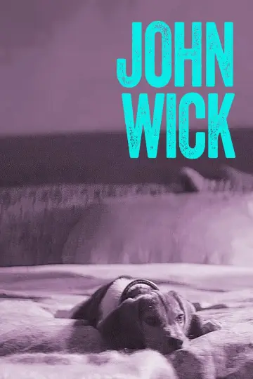 Plakat do filmu "John Wick" #51574