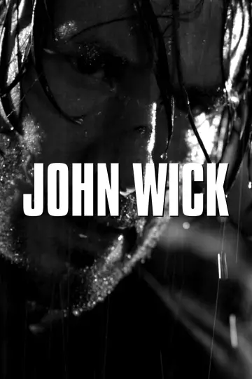Plakat do filmu "John Wick" #526038