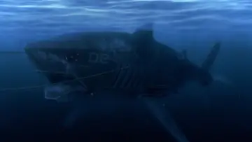 Zasłona do filmu "Mega Shark vs. Mecha Shark" #1013546