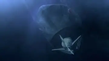 Zasłona do filmu "Mega Shark vs. Mecha Shark" #362078