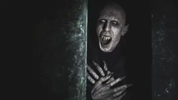 Zasłona do filmu "Co robimy w ukryciu" #206616