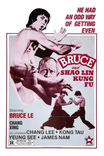 Plakat do filmu "Bruce and Shaolin Kung Fu" #1580205