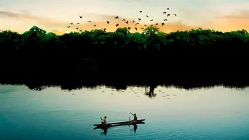Amazônia Eterna plakat