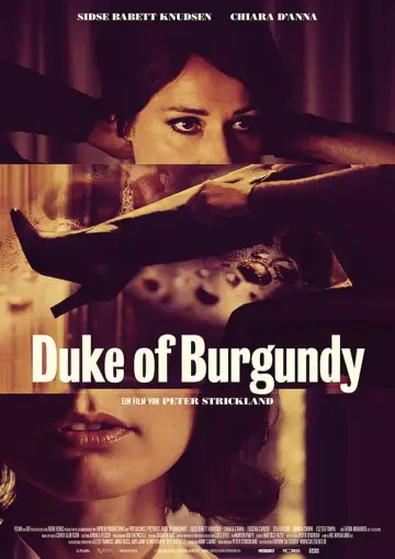Plakat do filmu "Duke of Burgundy. Reguły pożądania" #456649