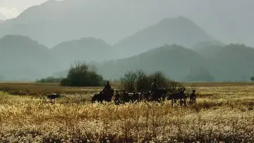 Zasłona do filmu "Zabójczyni" #943558