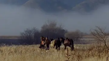 Zasłona do filmu "Zabójczyni" #943561