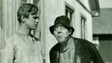 Zasłona do filmu "De vergeløse" #1194227