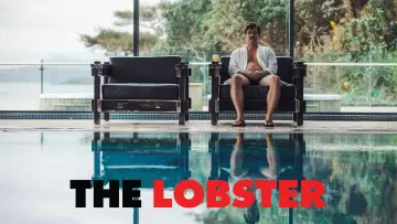 Zasłona do filmu "Lobster" #76456