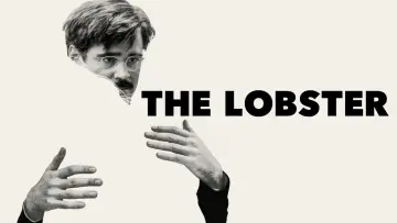 Zasłona do filmu "Lobster" #76458