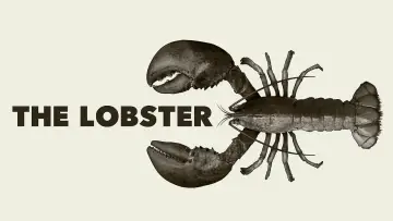 Zasłona do filmu "Lobster" #76459