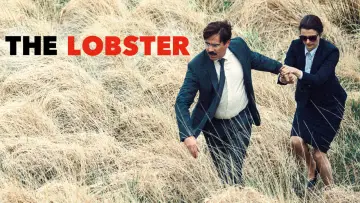 Zasłona do filmu "Lobster" #76461