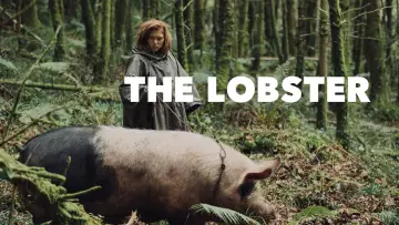 Zasłona do filmu "Lobster" #76465