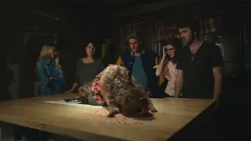 Zasłona do filmu "Zombiebobry" #337439