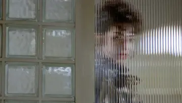 Zasłona do filmu "女豹" #1090129