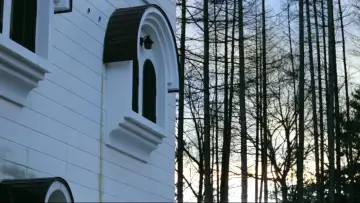 Zasłona do filmu "女豹" #1090143