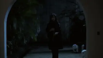 Zasłona do filmu "潘金蓮之前世今生" #1042914