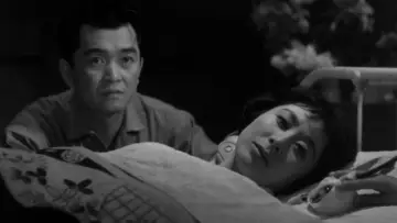 Zasłona do filmu "乳房よ永遠なれ" #1619130