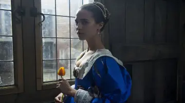 Zasłona do filmu "Tulipanowa gorączka" #281473