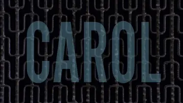 Zasłona do filmu "Carol" #685173