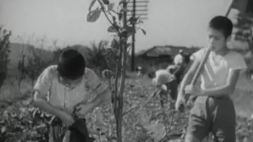 Zasłona do filmu "みかへりの塔" #1619006