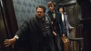 Zasłona do filmu "Fantastyczne zwierzęta i jak je znaleźć" #224152