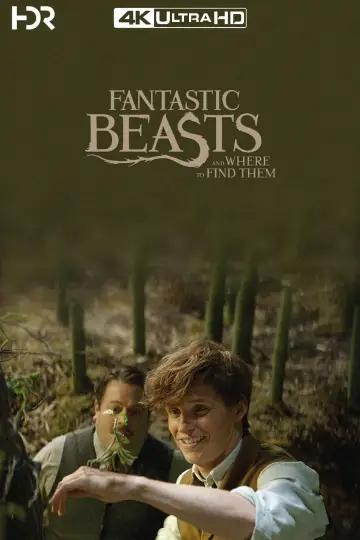 Plakat do filmu "Fantastyczne zwierzęta i jak je znaleźć" #224161