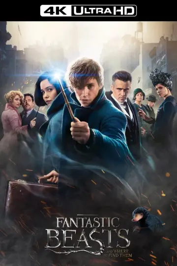 Plakat do filmu "Fantastyczne zwierzęta i jak je znaleźć" #25103