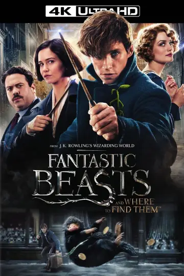 Plakat do filmu "Fantastyczne zwierzęta i jak je znaleźć" #25115