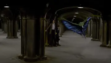 Zasłona do filmu "Fantastyczne zwierzęta i jak je znaleźć" #472966