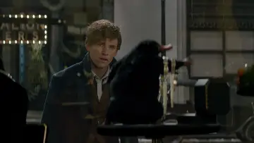 Zasłona do filmu "Fantastyczne zwierzęta i jak je znaleźć" #472968