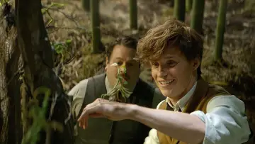Zasłona do filmu "Fantastyczne zwierzęta i jak je znaleźć" #472975