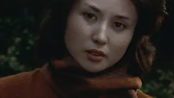 Zasłona do filmu "やさぐれ刑事" #1619828