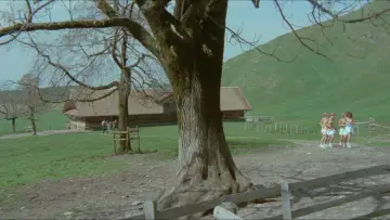 Zasłona do filmu "Sechs Schwedinnen auf der Alm" #434113