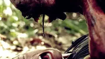 Zasłona do filmu "Indigenous" #491947