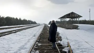 Zasłona do filmu "Zimowy sen" #206010