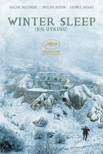 Plakat do filmu "Zimowy sen" #985829