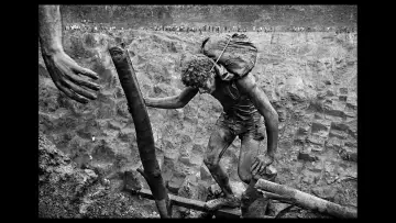 Zasłona do filmu "Sól ziemi" #1084327