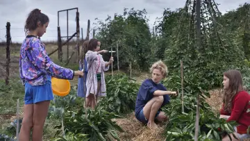 Zasłona do filmu "Cuda" #1077014