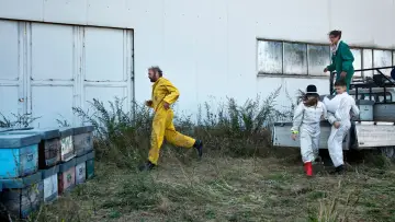Zasłona do filmu "Cuda" #1077062