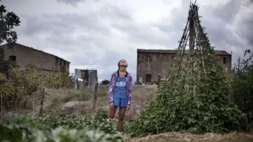 Zasłona do filmu "Cuda" #1077131