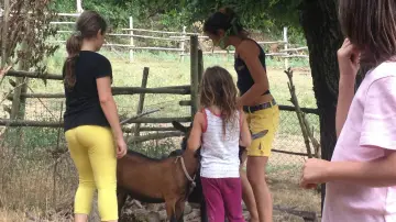 Zasłona do filmu "Cuda" #1077149