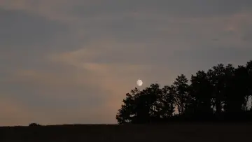 Zasłona do filmu "Cuda" #1077166