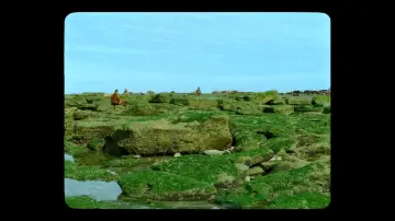 Zasłona do filmu "Jauja" #1123606
