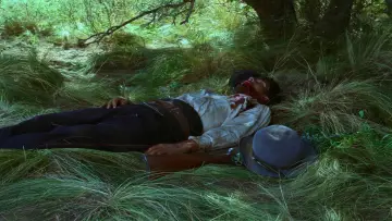 Zasłona do filmu "Jauja" #1123608