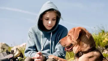 Zasłona do filmu "Biały Bóg" #276207